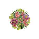 Passionsblomst Dækkeservietter Grøn/Lyserød