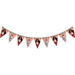 Moana® Flagguirlande