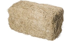 Bondegård Fødselsdag