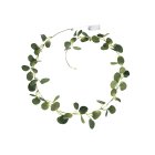 Eukalyptus LED Guirlande
