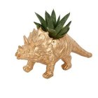 Triceratops Dinosaur Blomstervase