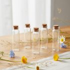 Små Glasflasker Med Korkprop