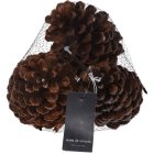 Brune Grankogler