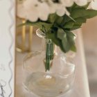 Dina Vase Transparent