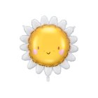 Sol Folieballon