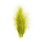 Dekorationsfjer Kiwi 10-15 cm