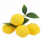 Kunstige Citroner med Blade