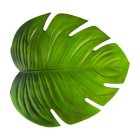Tropisk Monstera Blad