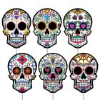 Day of the Dead Haveskilte