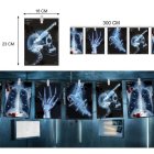 X-Ray Halloween Guirlande