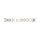 Just Married Flagbanner Hvid/Guld