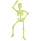 Glow In The Dark Skelet