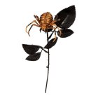 Edderkop Blomst