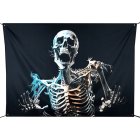 Horror Skelet Banner Baggrund