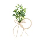 Eucalyptus Servietring Grøn/Hvid
