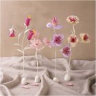 Crepeblomster, DIY