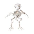 Skelet Ravn Hvid
