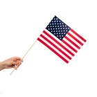 USA Flag På Pinde