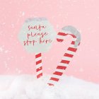 Santa Please Stop Here Haveskilte