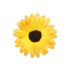 Gul Kunstig Dekorationsblomst