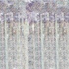 Glimmerforhæng Holografisk