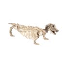 Gravhund Skelet Figur