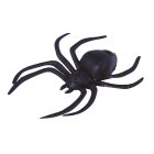 Halloween Edderkopper Sort