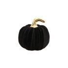 Velour Græskar Sort