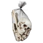Skelet Knogler