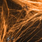 Falsk Spindelvæv Orange