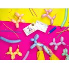 Modellerings Ballonkit Pastel