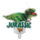 Jurassic Dinosaur Kagelys