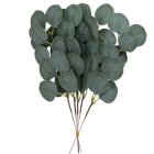 Eukalyptus Grene