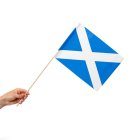 Skotland Flag På Pinde