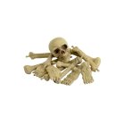 Knogler