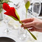4 Rose Servietholdere