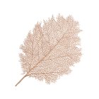 Blad Dækkeserviet Guld