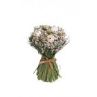 Rose Havebuket Creme