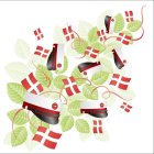 Luksus Student Servietter Rød
