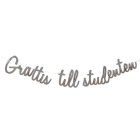 Grattis Till Studenten Guirlande