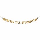 Grattis Till Studenten Guirlande