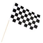 Skakternet Flag På Pind