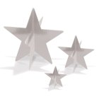 3D Sølvstjerne Borddekorationer