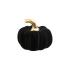Velour Græskar Sort