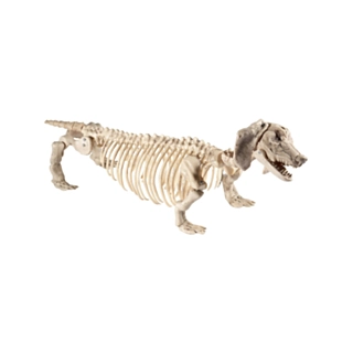 Gravhund Skelet Figur