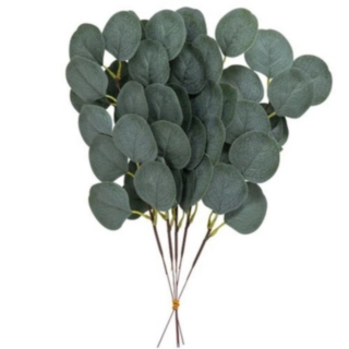 Eukalyptus Grene