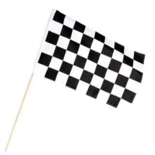 Skakternet Flag På Pind