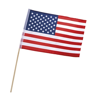 USA Flag På Pind