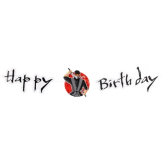 Ninja Party Happy Birthday Guirlande