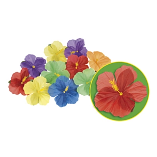 Hawaii Blomster